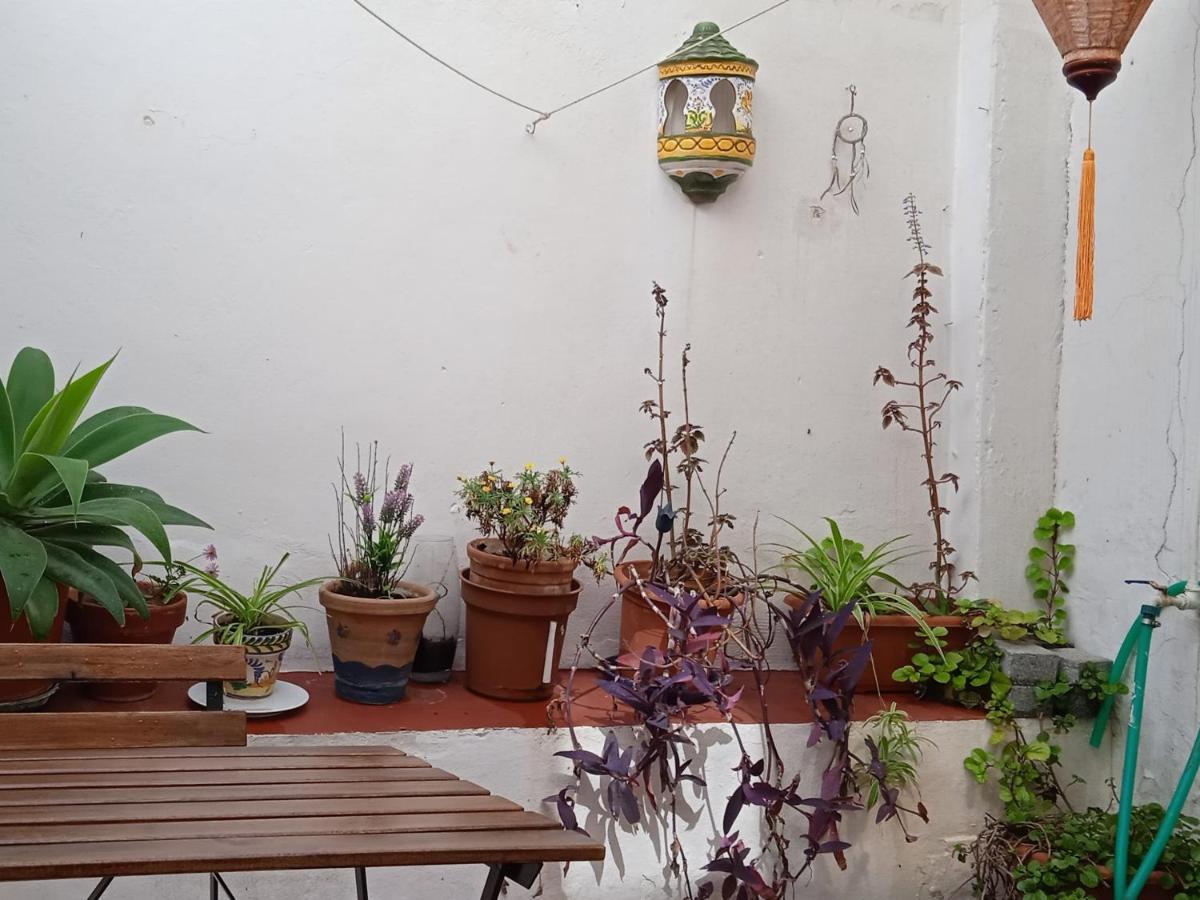 Ferienwohnung Selva La Bella. En El Corazon De Triana Sevilla Exterior foto